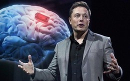 Elon Musk chính thức đưa ‘siêu nhân’ ra ngoài đời thực: Người cấy chip não đầu tiên đã có thể di chuyển chuột máy tính bằng ý nghĩ