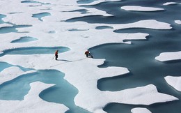 Tại sao băng trên biển được làm từ nước ngọt khi đại dương lại toàn là nước mặn?