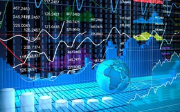 Doanh nghiệp bán khoá học đầu tư, làm giàu... lại gặp khó khi tự tay đầu tư bất động sản, doanh thu năm 2023 sụt giảm tới 2/3