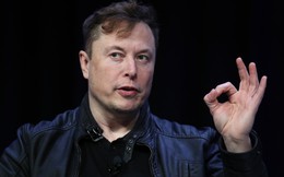Chuyện gì đang xảy ra với đế chế của Elon Musk: Chỉ bán được 1 chiếc xe điện/tháng tại Hàn Quốc, tất cả các bên đều sốc