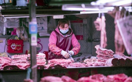 Người chăn lợn khóc ròng dịp Tết ở Trung Quốc vì giá hạ nhanh nhất 15 năm: Dân không có tiền mua, bên bán ế ẩm, càng kinh doanh càng lỗ