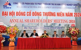 Doanh nghiệp địa ốc tham vọng 'hóa Rồng' năm 2024