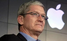 Những câu nói ‘để đời’ của CEO Apple Tim Cook: Nhiều khi trong cuộc sống, thà dựa vào trực giác!