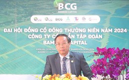 Chân dung tân Chủ tịch HĐQT người nước ngoài của Bamboo Capital