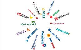 Techcombank soán ngôi 'vua CASA' của MB, loạt ngân hàng như MSB, TPBank, LPBank ghi nhận tiền gửi không kỳ hạn tăng trưởng
