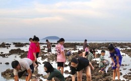 Nhiều người đổ ra biển 'uy hiếp' rạn san hô vịnh Nha Trang