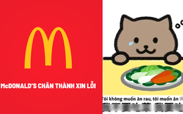 McDonald’s Việt Nam chính thức phải xin lỗi vì lấy câu chuyện thương tâm của game thủ Trung Quốc để quảng cáo mã giảm giá