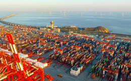 'Say sóng' vì giá vận chuyển container toàn cầu tiếp tục tăng chóng mặt