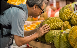 Tư duy “trồng cây nhớ kẻ ăn quả” đưa nông nghiệp lên tầm cao mới: Nông dân thành TikToker, mở đường cho làn sóng đại gia sầu riêng mới nổi ở Việt Nam