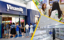 Giấc mơ hệ thống phân phối riêng của tam đại gia ngành sữa: Vinamilk vững ngôi vua hơn 600 cửa hàng, "á vương" TH Milk có 300, Nutifood có làm nên chuyện nhờ "phù thủy marketing"?