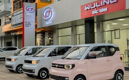 Nhà phân phối ô tô điện Wuling Mini tại Việt Nam bị kiểm toán nghi ngờ khả năng hoạt động liên tục sau khi lỗ lớn nhất lịch sử