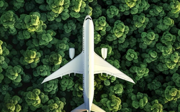 Đối mặt một ‘nỗi thất vọng’ của Hiệp hội hàng không quốc tế, các hãng bay Việt Nam lần đầu làm được việc mà hãng nước ngoài phải bỏ cuộc