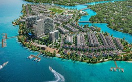 Đấu giá thành công, TTC Land chính thức sở hữu 100% dự án Cù Lao Tân Vạn