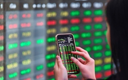 Thị trường chứng khoán tiếp tục hướng tới 1.800 điểm