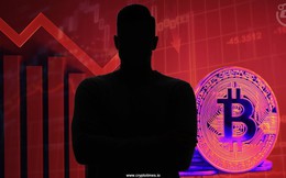 Một ‘cá voi’ bí ẩn vừa đặt lệnh bán khống Bitcoin trị giá hơn 100 triệu USD