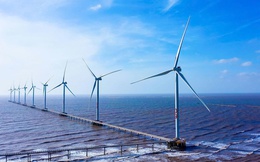 REE thành lập 2 công ty con để thực hiện các dự án điện gió tại Vĩnh Long