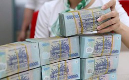 Novaland phản hồi sau khi thanh tra Chính phủ nêu loạt vi phạm trái phiếu