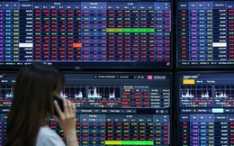 Các ông lớn môi giới chứng khoán đang làm ăn ra sao?