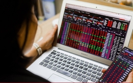 VN-Index hụt mốc 1.800 điểm, tuần tới còn cơ hội bứt phá?