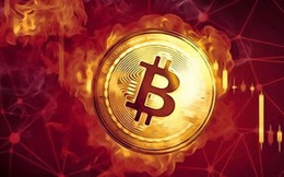 Thị trường tiền số hôm nay, 19-10: Công ty chỉ có 2 nhân viên muốn tham gia tài sản số