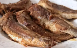 Loại cá quen thuộc bị xếp vào nhóm “chất gây ung thư số 1”, nhiều người ăn mỗi ngày