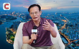 TS Lê Xuân Nghĩa: Nhiều “đại gia” bất động sản gom đất rồi để đó, riêng 1 tỷ phú làm rất nhanh