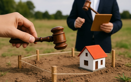 Đề xuất mới: Bỏ cọc đấu giá đất có thể bị cấm tham gia tới 5 năm