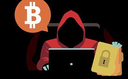 Sau vụ AntEx của Shark Bình, chuyên gia bóc trần những "chiếc bẫy" lừa đảo tinh vi trong thế giới blockchain