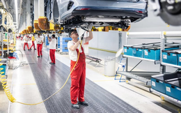 ‘Cường quốc ô tô tại châu Âu’ gặp khó