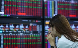 Lý do tài khoản nhiều người chơi chứng khoán 'đỏ rực'