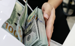 Ngân hàng Nhà nước: Có đối tượng mua ngoại tệ tiền mặt để trục lợi