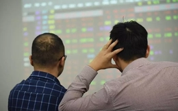 Có tin báo cáo tài chính doanh nghiệp, chứng khoán sẽ 'thoát hiểm'?