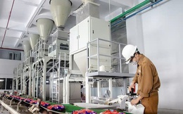 Hóa chất Đức Giang ‘ôm’ hơn 12.700 tỷ đồng tiền gửi ngân hàng, quý III/2025 lãi ròng 804 tỷ đồng