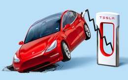 Twitter và Bộ DOGE khiến Elon Musk mất 1,26 triệu doanh số xe điện, giúp đối thủ tăng 22% ô tô bán ra