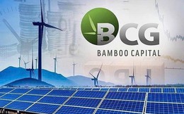 Bamboo Capital và Tracodi xin lỗi cổ đông