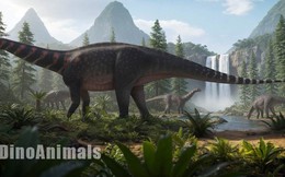 Mở ngăn kéo bảo tàng, phát hiện loài quái thú khổng lồ mới