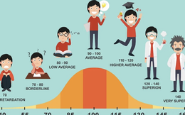 Cộng đồng trí tuệ lớn nhất thế giới Mensa International vừa chính thức đặt chân đến Việt Nam, tìm cá nhân thuộc Top 2% IQ cao nhất thế giới
