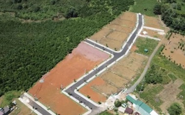 Không có dự án Sam Hills Bảo Lộc của Sam Group ở Lâm Đồng