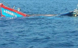 Tàu cá Bình Định cùng 11 ngư dân bị tàu lạ tông chìm, thuyền trưởng mất tích