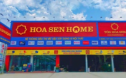 Hoa Sen Group giải thể một công ty liên kết do hoạt động không hiệu quả