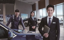 Khủng hoảng nghề bán xe hơi tại Trung Quốc: Các đại lý vật lộn trong thua lỗ, một số phá sản để lại hàng trăm khách hàng bơ vơ