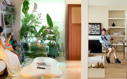 Bày đúng vài món này trong nhà: Vượng khí kéo tới, tiền tự chảy vào túi