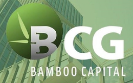 Bamboo Capital sẽ tổ chức đại hội cổ đông bất thường, dự kiến miễn nhiệm hàng loạt lãnh đạo