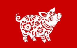 Tổng quan tử vi tuổi Hợi năm 2026