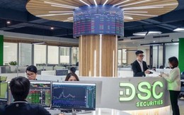 Chứng khoán DSC bị HoSE nhắc nhở do chậm công bố thông tin