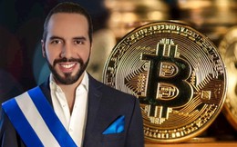 Đi ngược tâm lý sợ hãi của toàn thị trường, Tổng thống El Salvador vừa ‘khoe’ bắt đáy thành công 1.098 Bitcoin