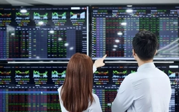 Tâm điểm giao dịch chứng khoán đang hướng vào nhóm nào?