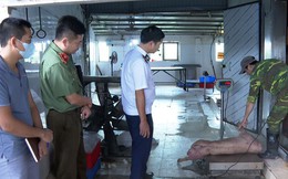 Chủ trang trại bán heo bệnh cho các đầu mối