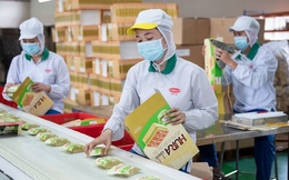 Loạt doanh nghiệp Việt lâu năm rời sàn giữa làn sóng IPO quy mô lớn