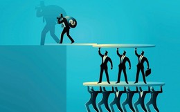 Chấn động: Một 'Shark' thừa nhận từng dùng mô hình đa cấp Ponzi để trả học phí đại học